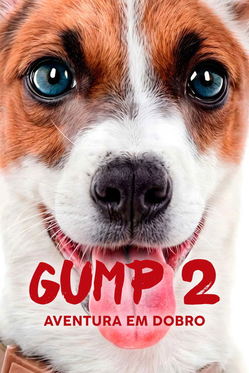 Gump 2 – Aventura em Dobro Torrent WEB-DL (2024) Dual Áudio e Legendado